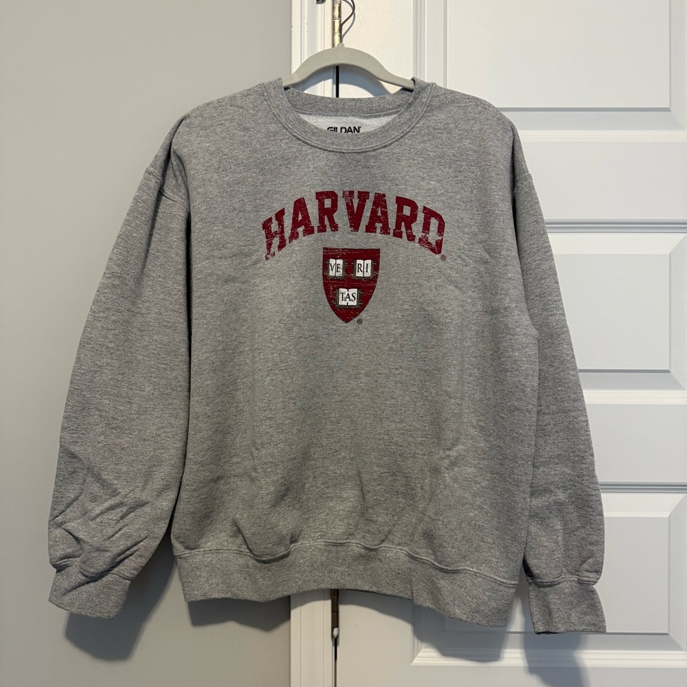 Gildan Gray and Red Crewneck Sweater